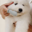 Puppy Breath Toothbrush Dog Supplies Pupwell