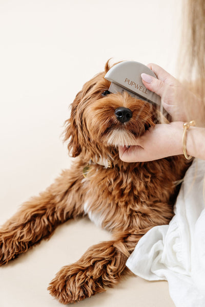 Detailer Comb Pupwell