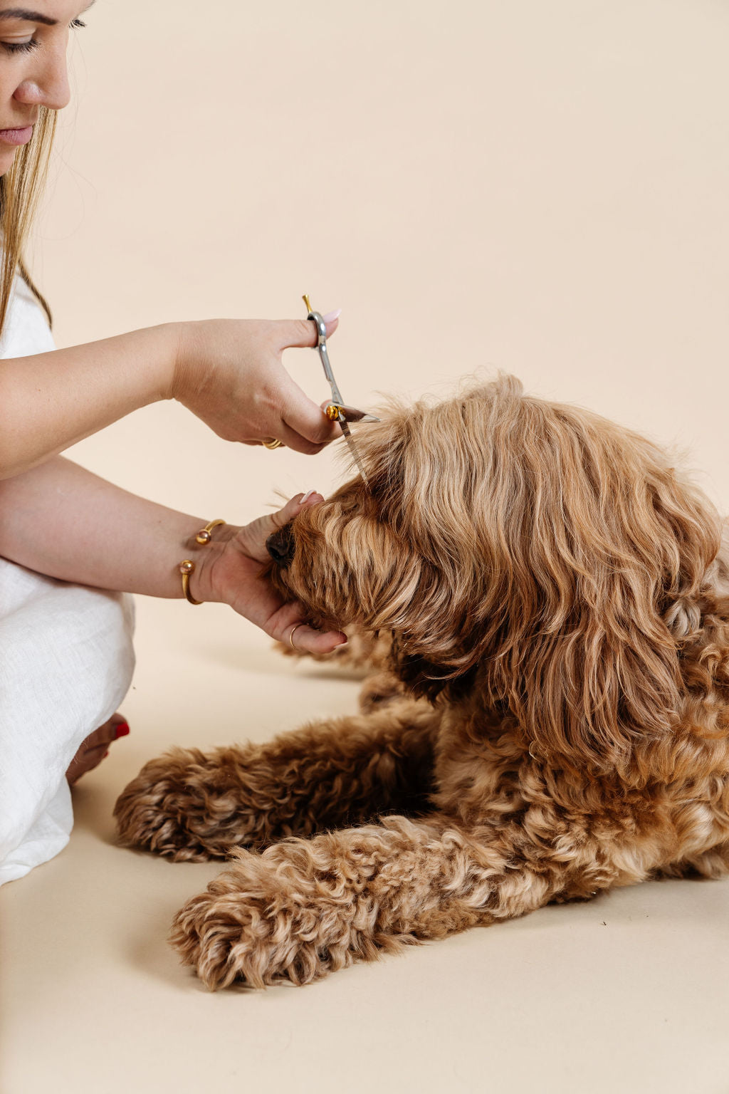 Ultimate Dog Grooming Kit Dog Supplies Pupwell