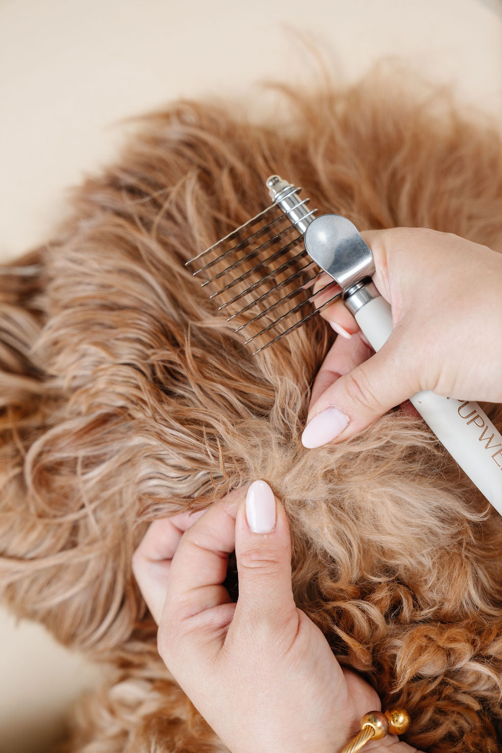 Ultimate Dog Grooming Kit Dog Supplies Pupwell