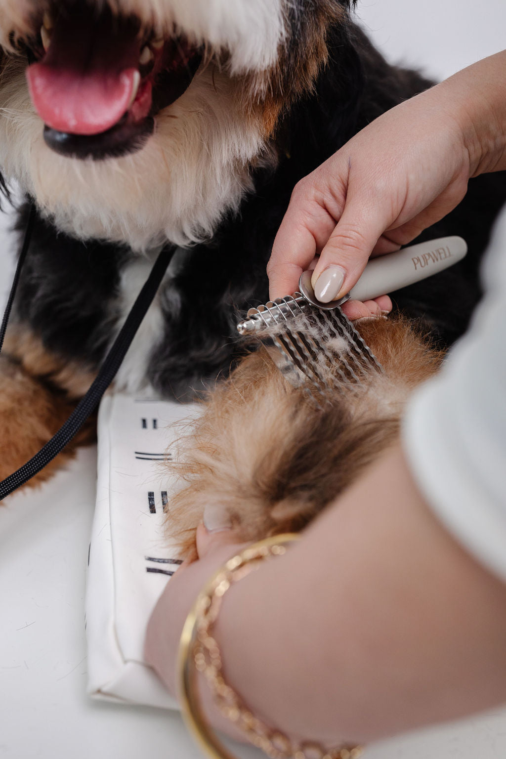 The Detangler Dog Supplies Pupwell