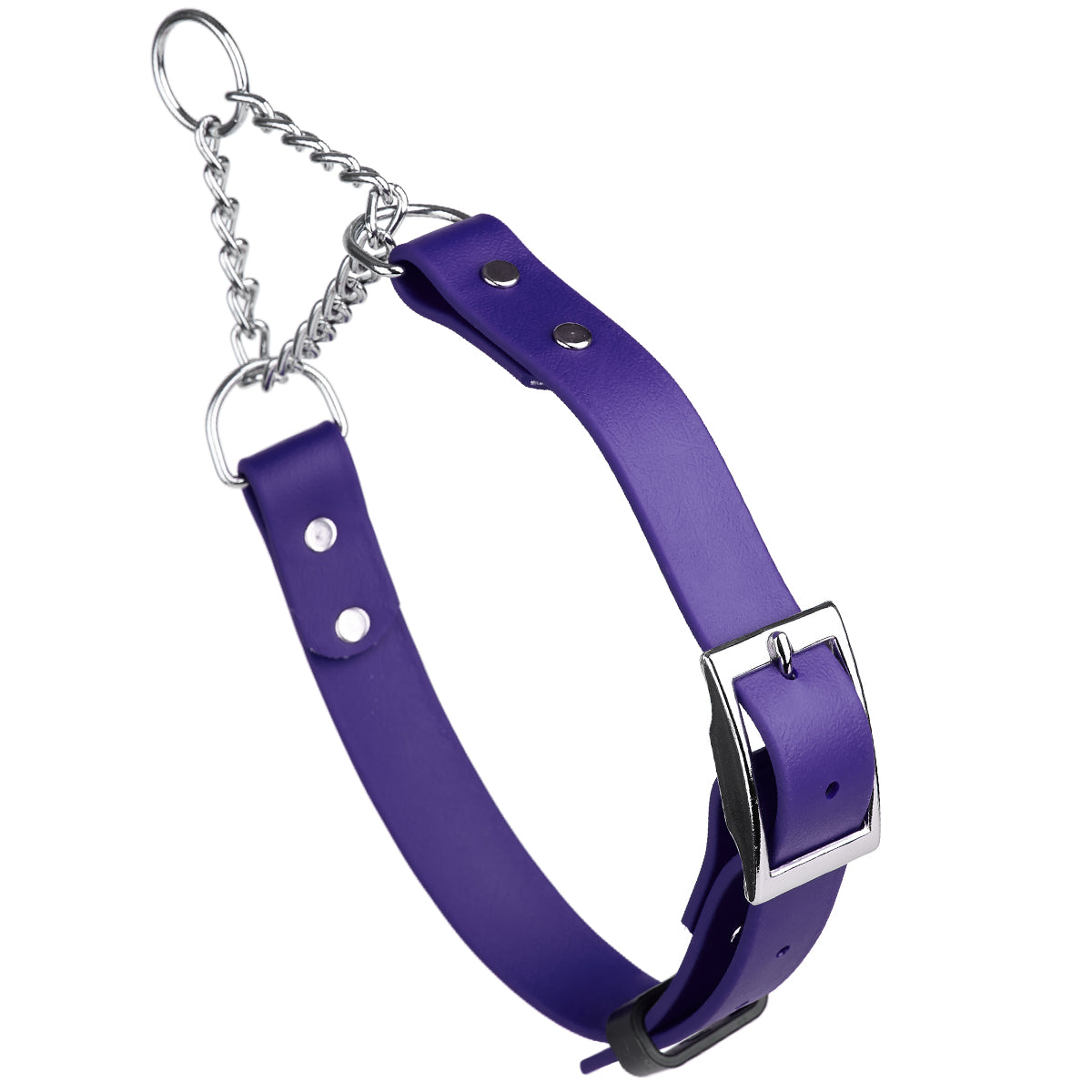 Biothane Adjustable Martingale Collar with Metal Buckle Violet Purple Martingale Dog Collar Dogline