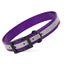 Biothane Translucent Reflective Dog Collar Purple Dog Collar Dogline