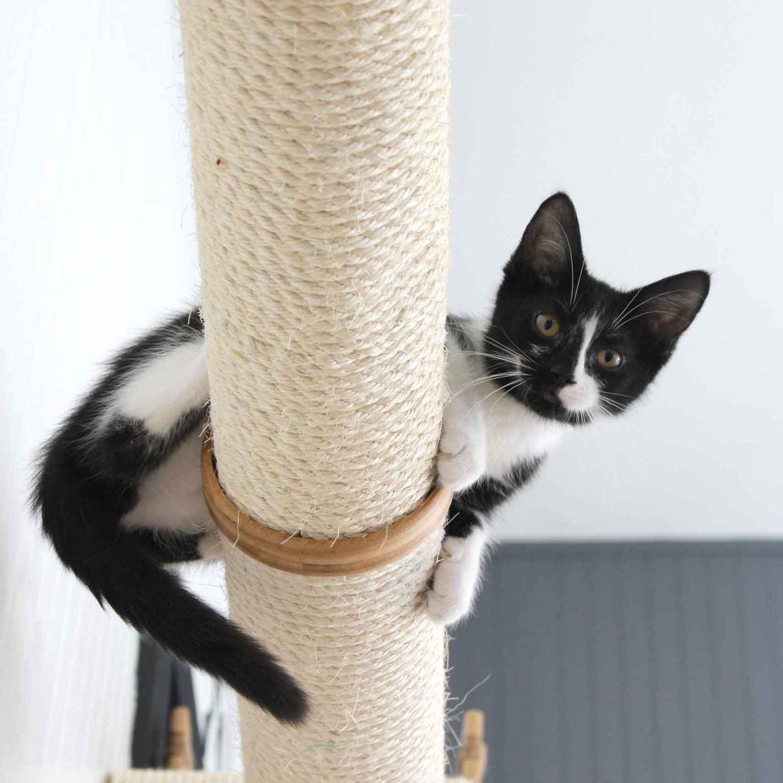 Horizontal Scratching Post for Cats Cat Scratcher Catastrophic Creations