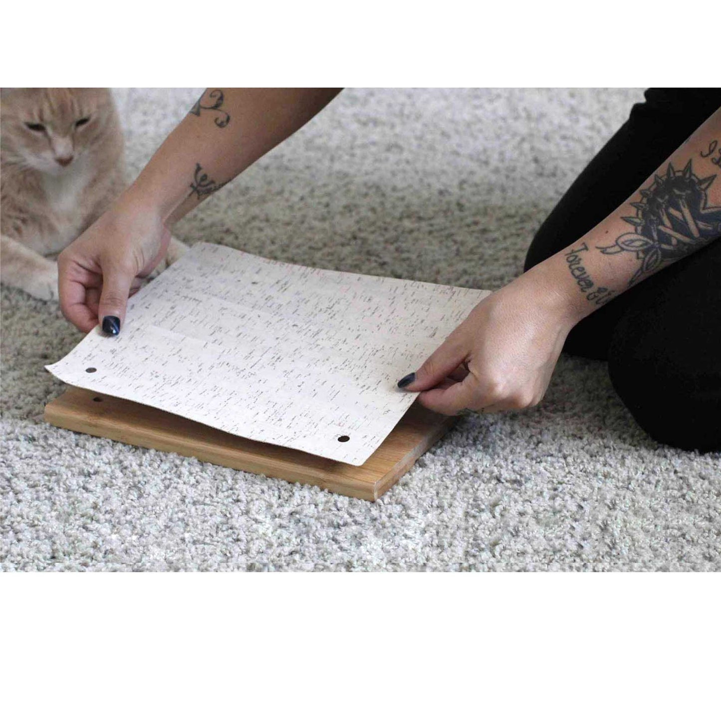 Cat Climbing Shelf Cat shelves/bed Catastrophic Creations