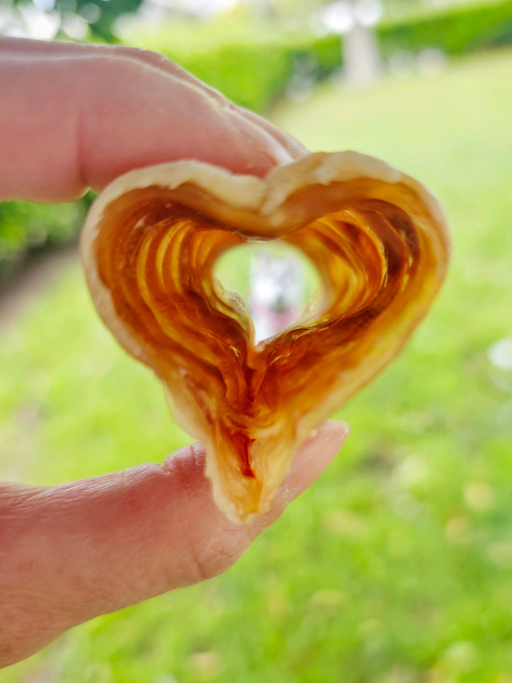 Beef Trachea (Grass Fed & Finished) Naked Beasts