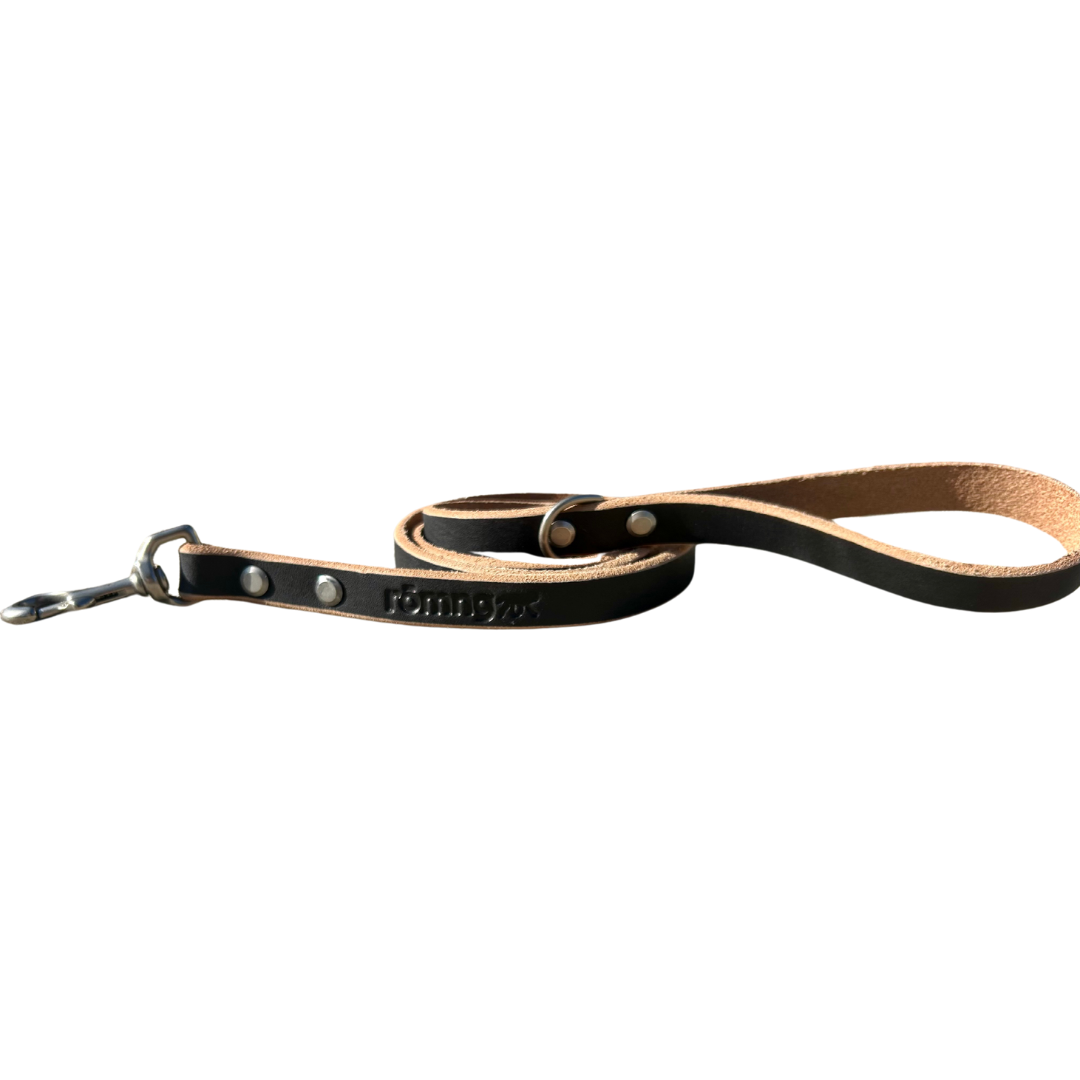 handmade leather dog leash Matte Black Dog Leashes rōmng