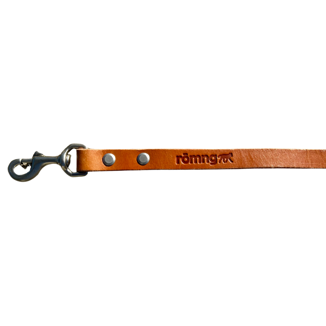 handmade leather dog leash Dog Leashes rōmng