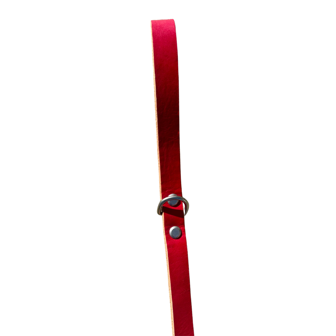 handmade leather dog leash Dog Leashes rōmng