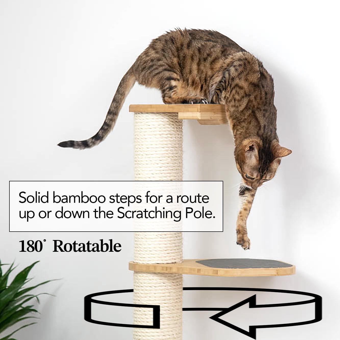 Wall Mounted Cat Climbing Pole - Sisal Cat Scratcher Catastrophic Creations
