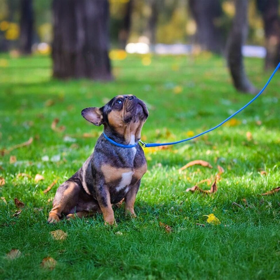 Soft Leather Round Dog Lead Dog Leashes Dogline