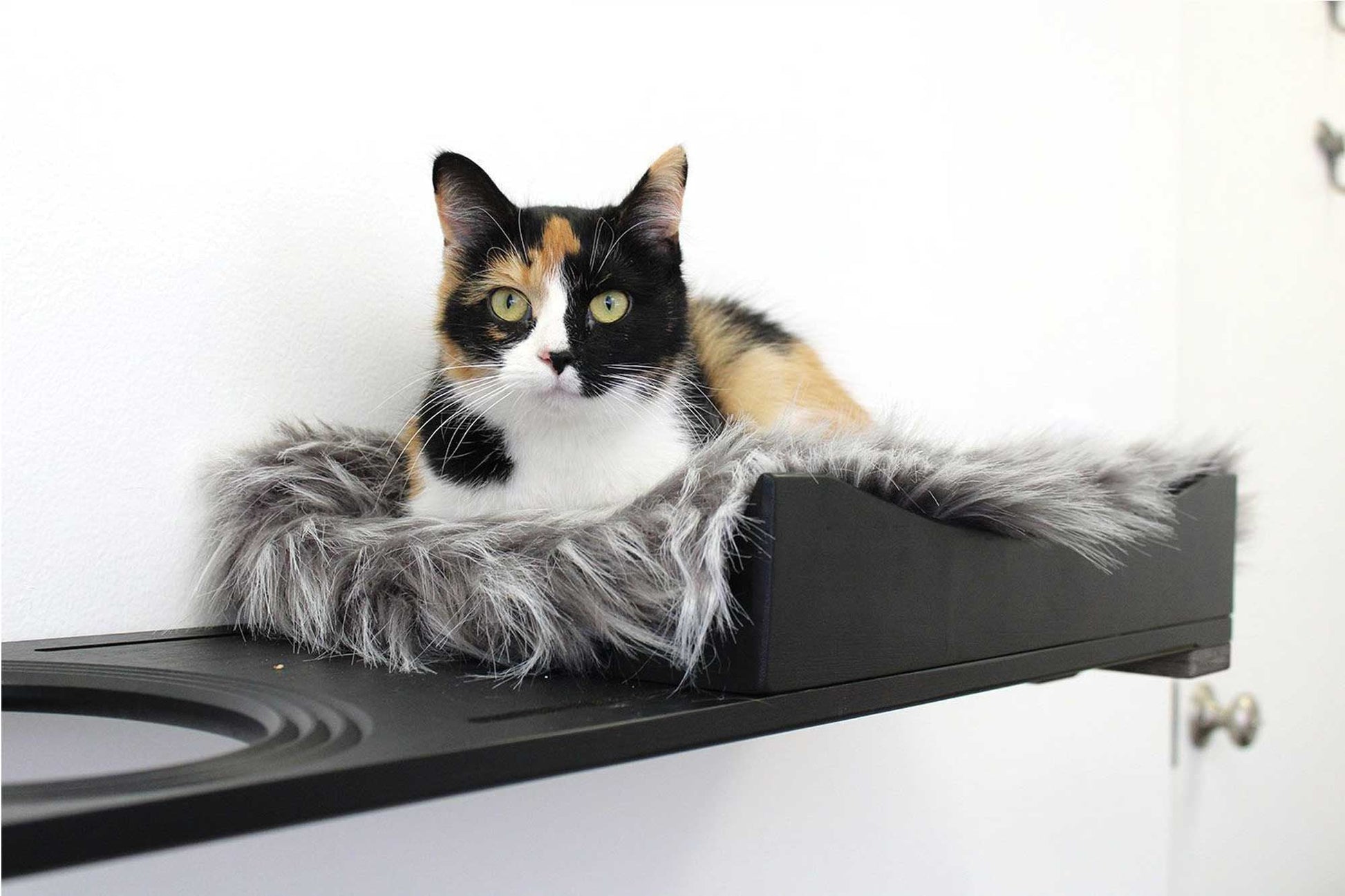 The Cat Nest Bed Onyx Bamboo Gray Plush 34" Escape Hatch Cat shelves/bed Catastrophic Creations