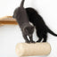 Floating Cat Step for Wall Cat Scratcher Catastrophic Creations