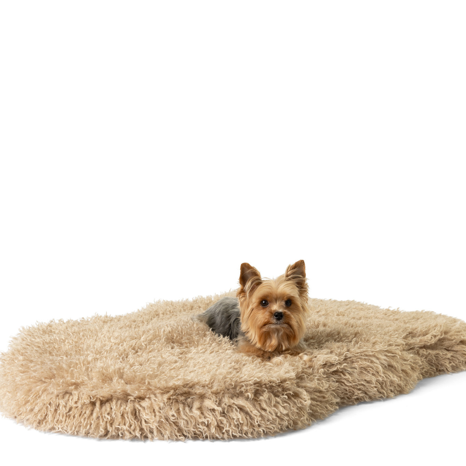 PupRug® Luxe Faux Fur Orthopedic Dog Bed - Plush Sheep Tan Medium (40" x 25") Dog Beds Paw