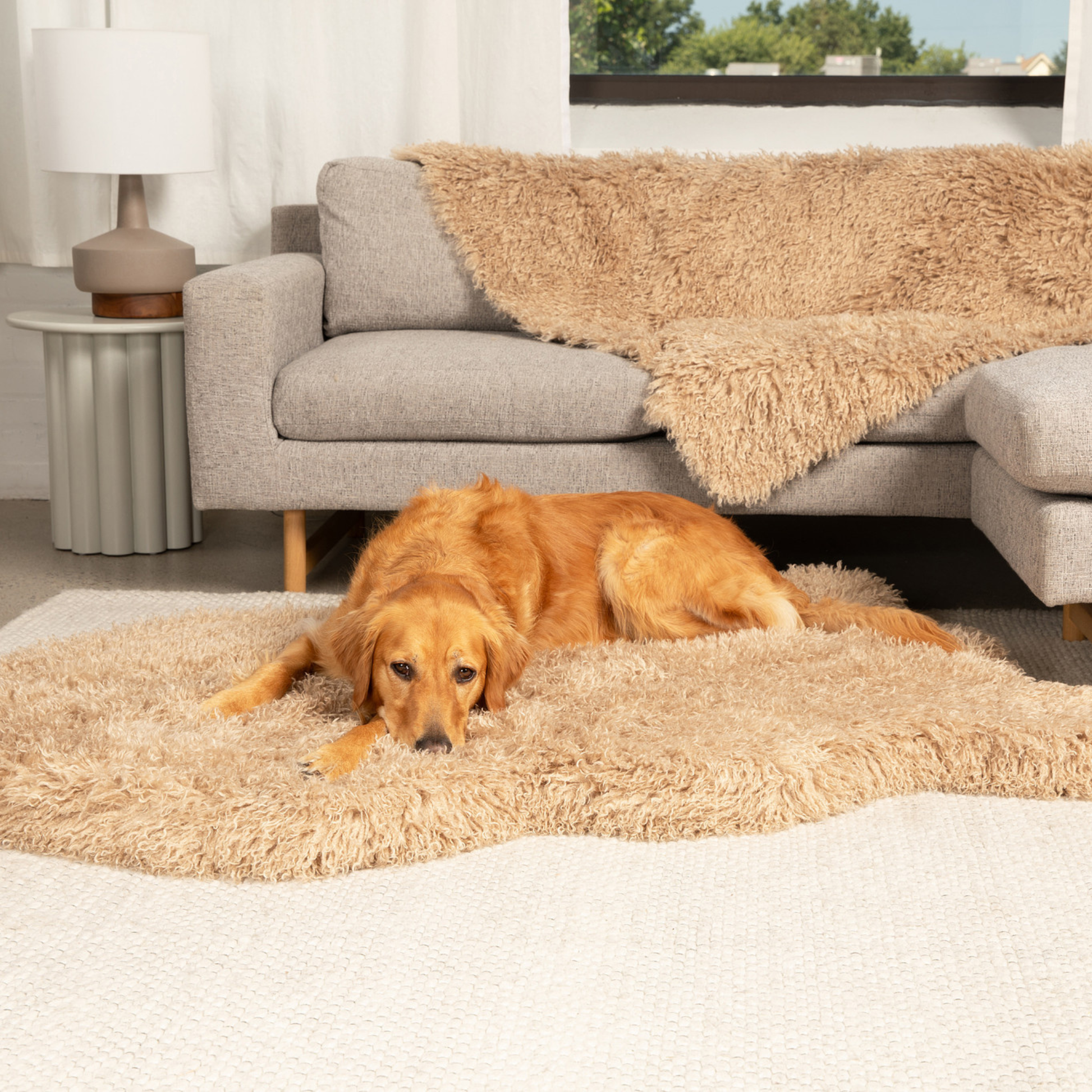 PupRug® Luxe Faux Fur Orthopedic Dog Bed - Plush Sheep Tan Giant (60" x 35") Dog Beds Paw