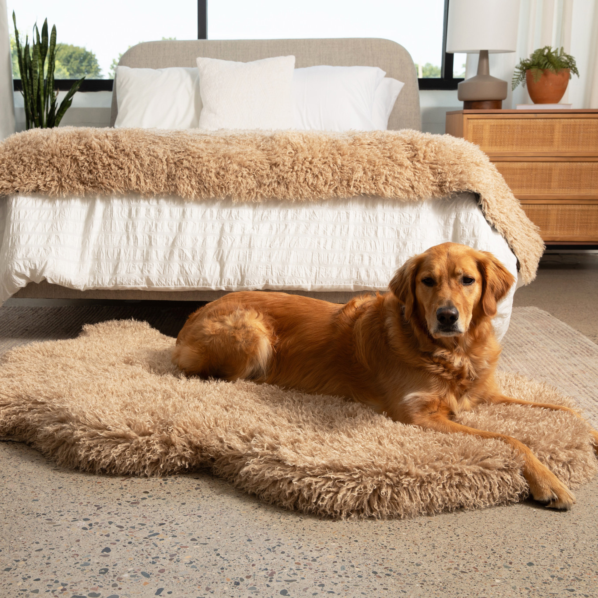 PupRug® Luxe Faux Fur Orthopedic Dog Bed - Plush Sheep Tan Dog Beds Paw