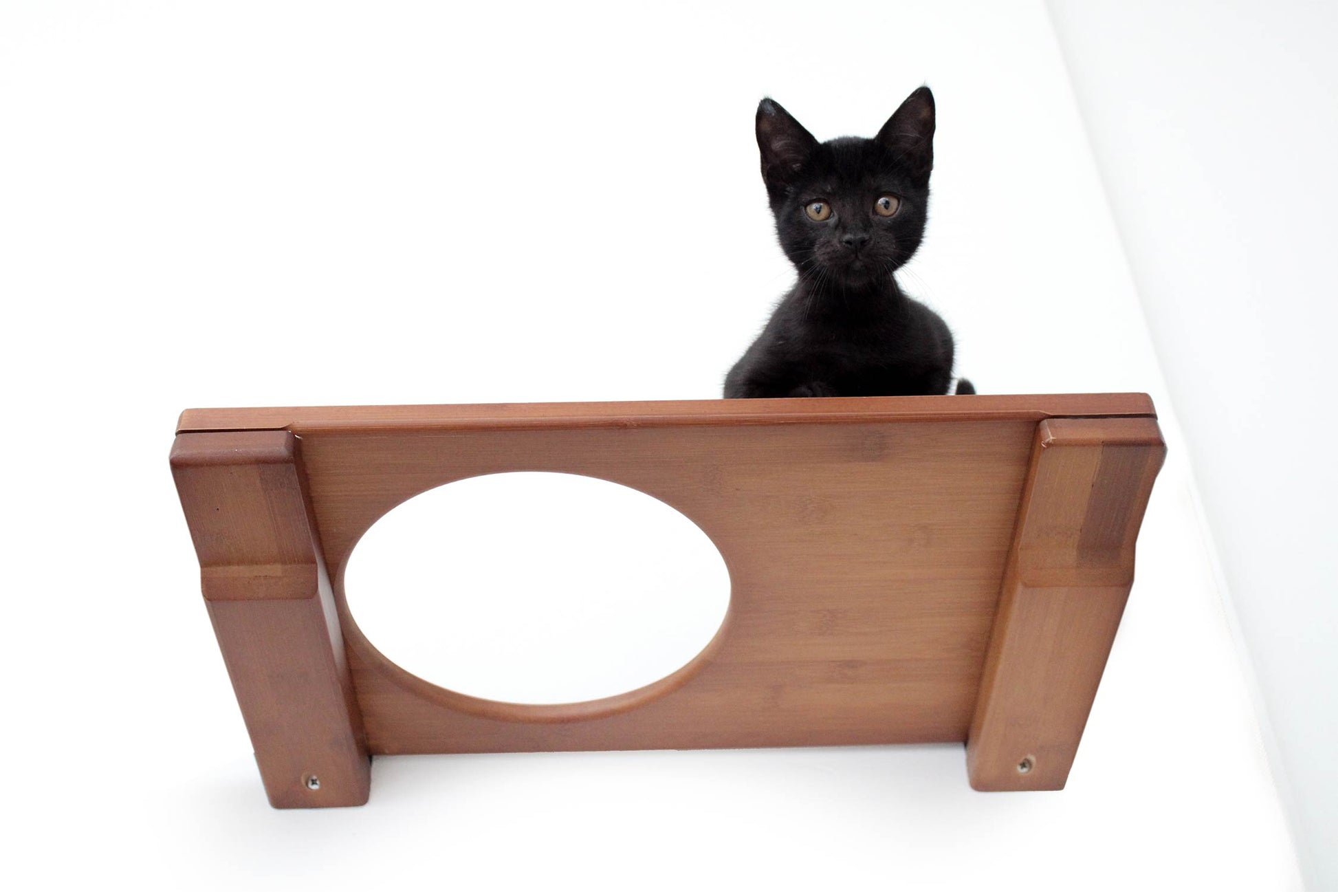 Wall Mounted Cat Shelf English Chestnut Bamboo 18" Escape Hatch Cat shelves/bed Catastrophic Creations