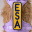 ESA 2x6 Patch Patch K9 Sport Sack