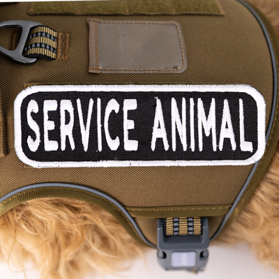 Service Animal 2x6 Patch Hook & Loop Black & White Patch K9 Sport Sack