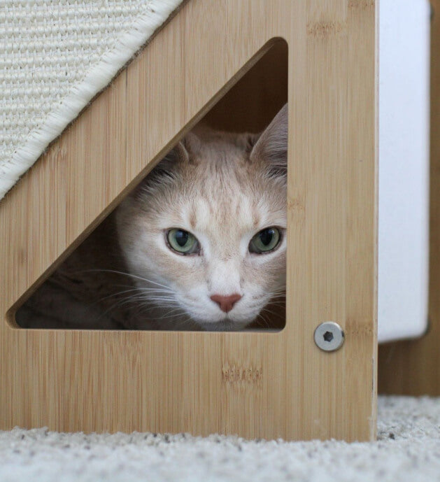 The Overlook - Sturdy - Bamboo Cat Tree Cat Condo Catastrophic Creations