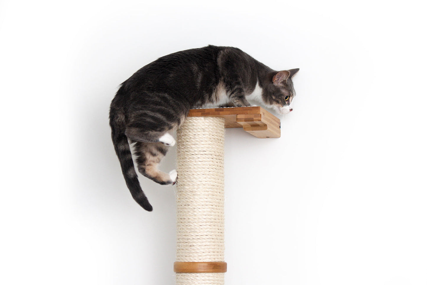 Wall Mounted Cat Climbing Pole - Sisal Cat Scratcher Catastrophic Creations