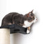 Wall Mounted Cat Climbing Pole - Sisal Cat Scratcher Catastrophic Creations
