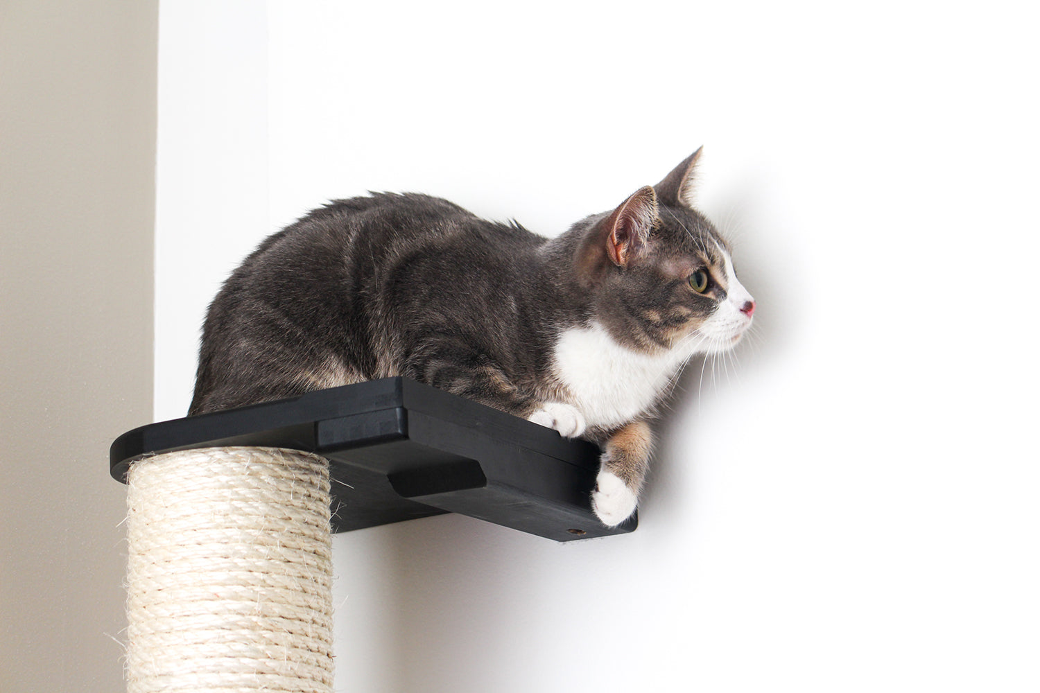 Wall Mounted Cat Climbing Pole - Sisal Cat Scratcher Catastrophic Creations