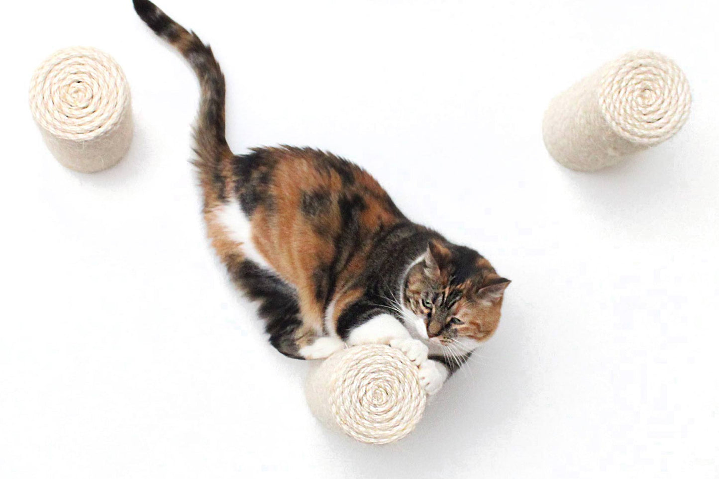Floating Cat Step for Wall Cat Scratcher Catastrophic Creations