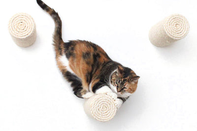 Floating Cat Step for Wall Cat Scratcher Catastrophic Creations