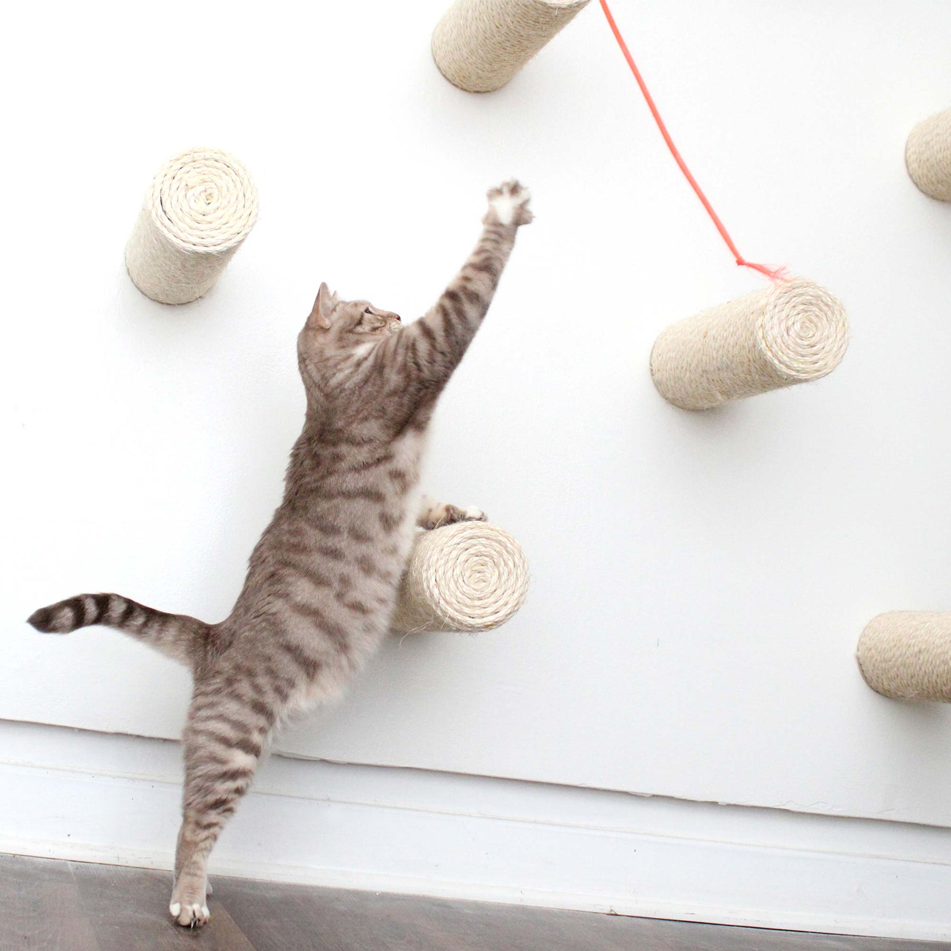 Floating Cat Step for Wall Cat Scratcher Catastrophic Creations