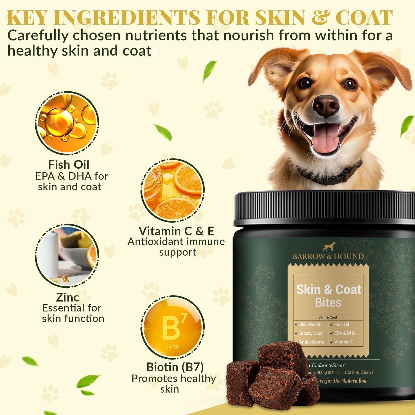 Skin & Coat Bites for Dogs – Shine, Strength & Allergy Relief Supplements Barrow & Hound