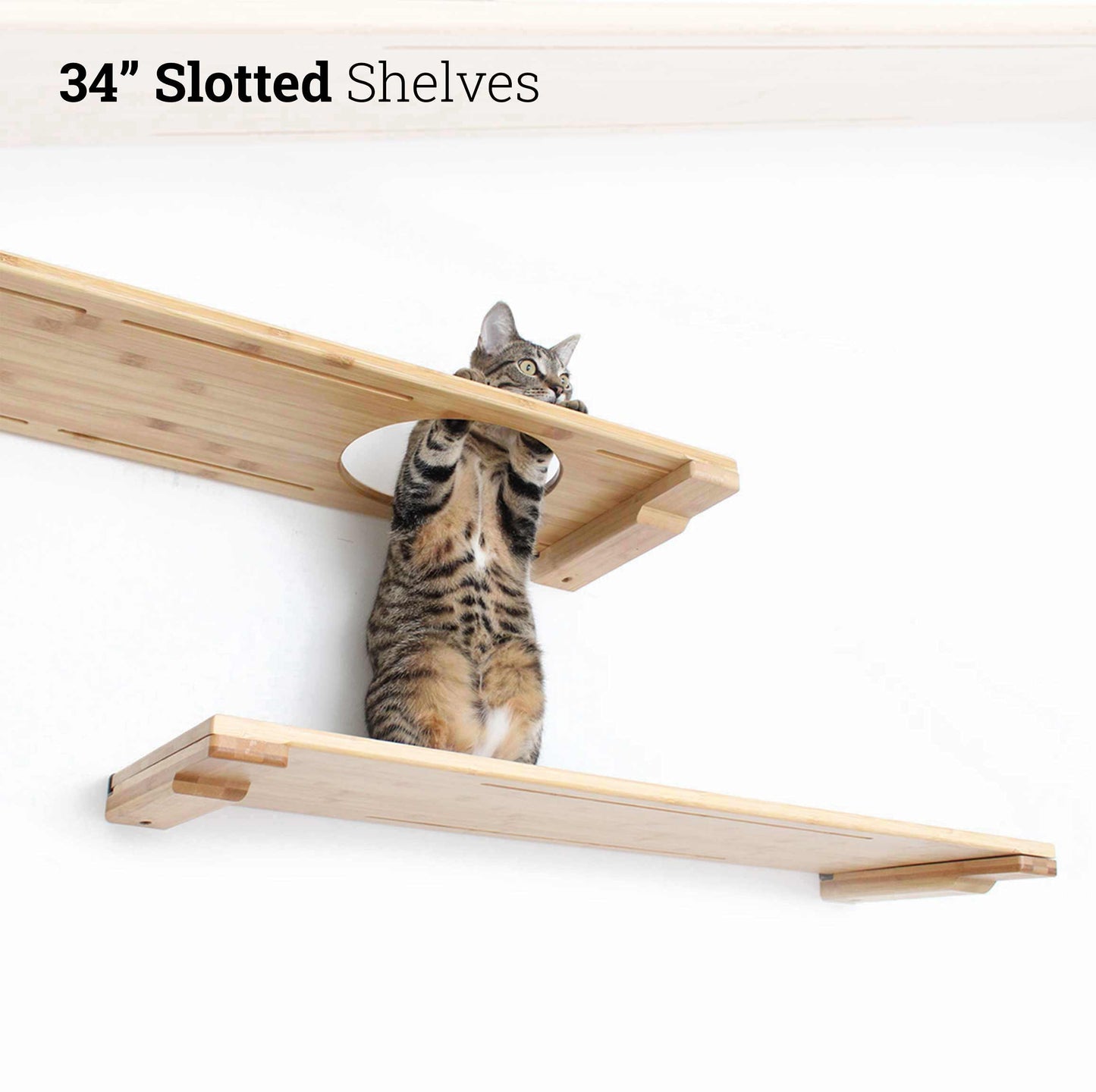 Wall Mounted Cat Shelf Cat shelves/bed Catastrophic Creations