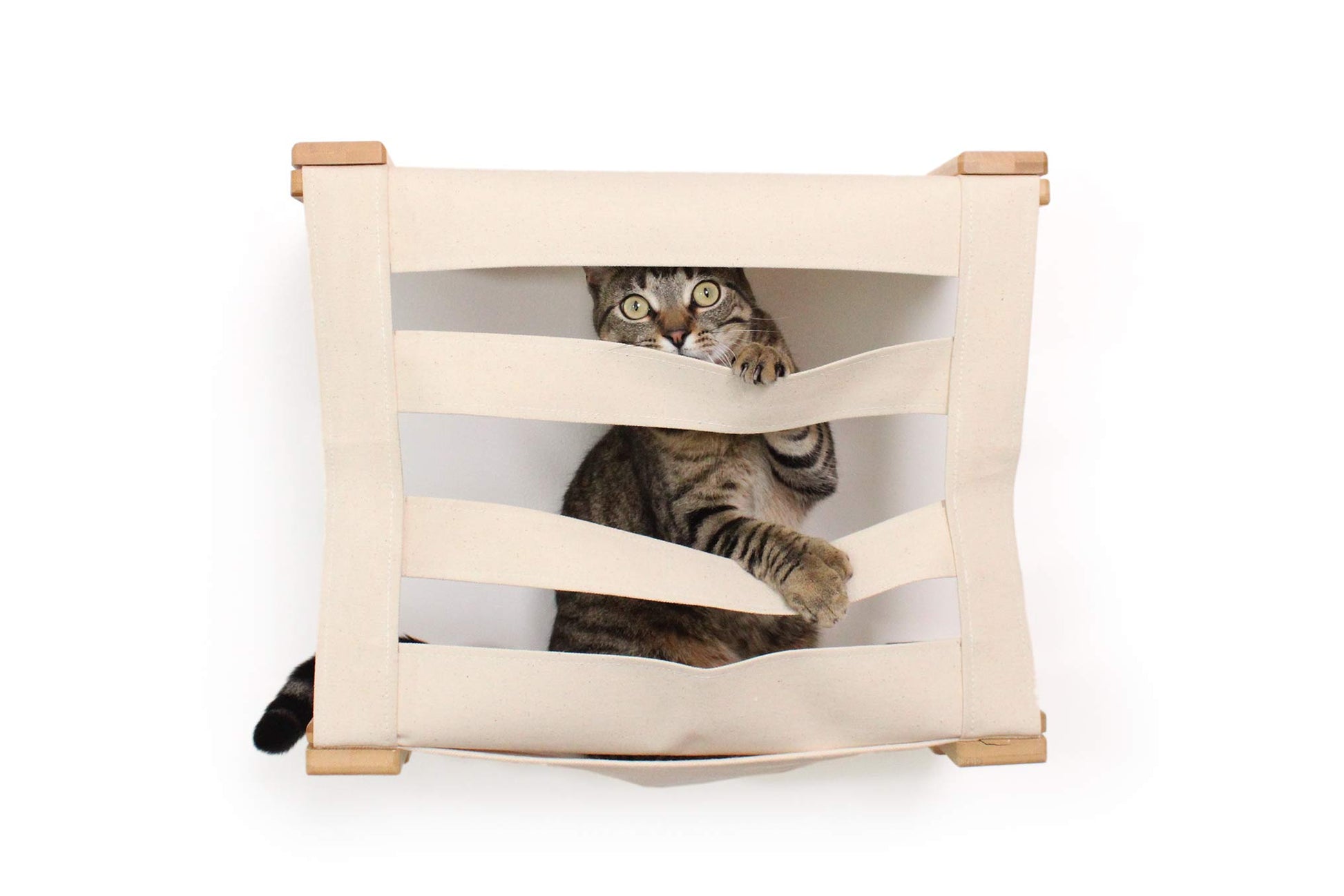 Enclosed Cat Bed - Cat Wall Cubby Catastrophic Creations