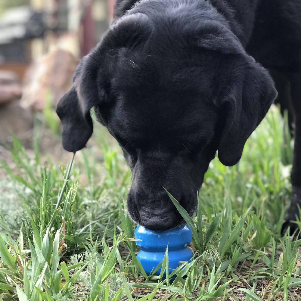 Double Trouble Dog Toy - Dual Chamber Treat Dispenser for Large Dogs | USA Made Rubber Dog Toys SodaPup/True Dogs, LLC