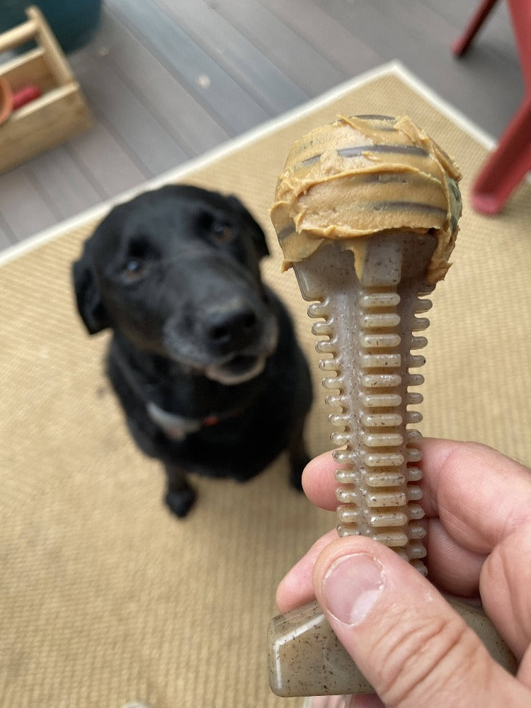 Honey Bone Dental Tower Nylon Chew Toy for Aggressive Chewers | USA Made Nylon Dog Toys SodaPup/True Dogs, LLC