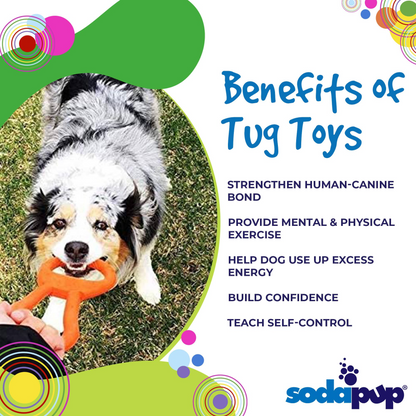 Pop Top Rubber Tug Toy for Interactive Play T&T