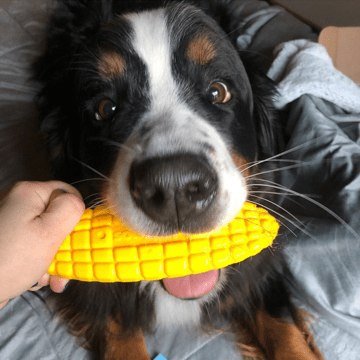Corn on the Cob Nylon Dog Toy for Aggressive Chewers | USA Made | SodaPup Nylon Dog Toys SodaPup/True Dogs, LLC