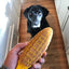 Corn on the Cob Nylon Dog Toy for Aggressive Chewers | USA Made | SodaPup Nylon Dog Toys SodaPup/True Dogs, LLC