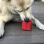 Gift Box eDispenser Durable Rubber Chew Toy & Treat Dispenser Rubber Dog Toys SodaPup/True Dogs, LLC