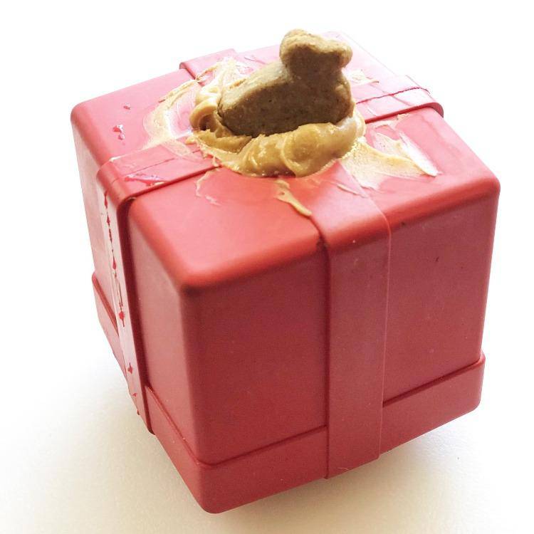 Gift Box eDispenser Durable Rubber Chew Toy & Treat Dispenser Rubber Dog Toys SodaPup/True Dogs, LLC