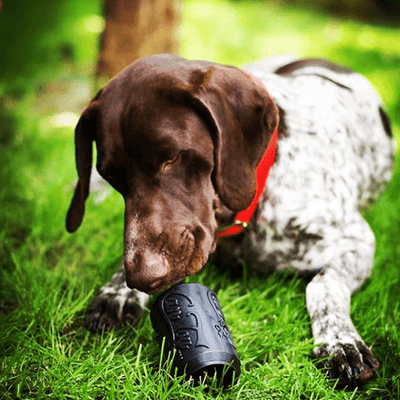 SP Magnum Can Toy eDispenser Ultra Durable Rubber Chew Toy & Treat Dispenser - Power Chewers Rubber Dog Toys SodaPup/True Dogs, LLC