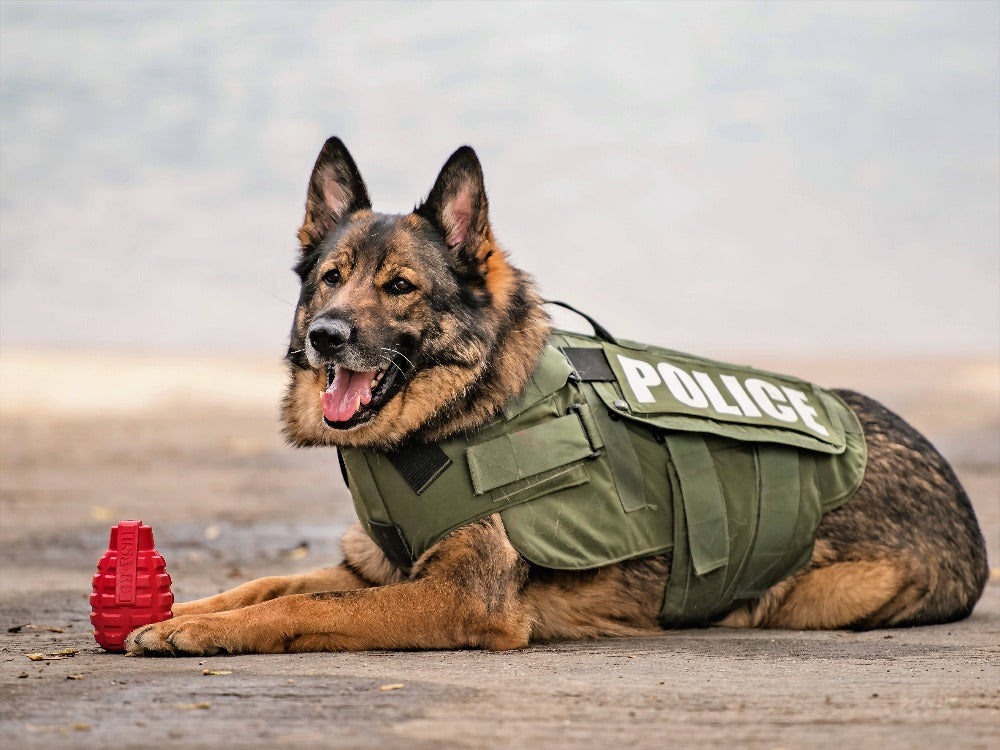 Grenade eDispenser Durable Dog Chew Toy & Treat Dispenser Rubber Dog Toys SodaPup/True Dogs, LLC