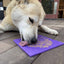Bones eMat - Enrichment Lick Mat for Dogs and Cats | eMat Enrichment Toy for Anxiety Relief | SodaPup EMAT SodaPup/True Dogs, LLC