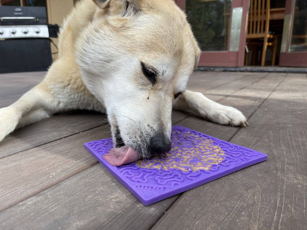 Bones eMat - Enrichment Lick Mat for Dogs and Cats | eMat Enrichment Toy for Anxiety Relief | SodaPup EMAT SodaPup/True Dogs, LLC