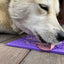 Bones eMat - Enrichment Lick Mat for Dogs and Cats | eMat Enrichment Toy for Anxiety Relief | SodaPup EMAT SodaPup/True Dogs, LLC