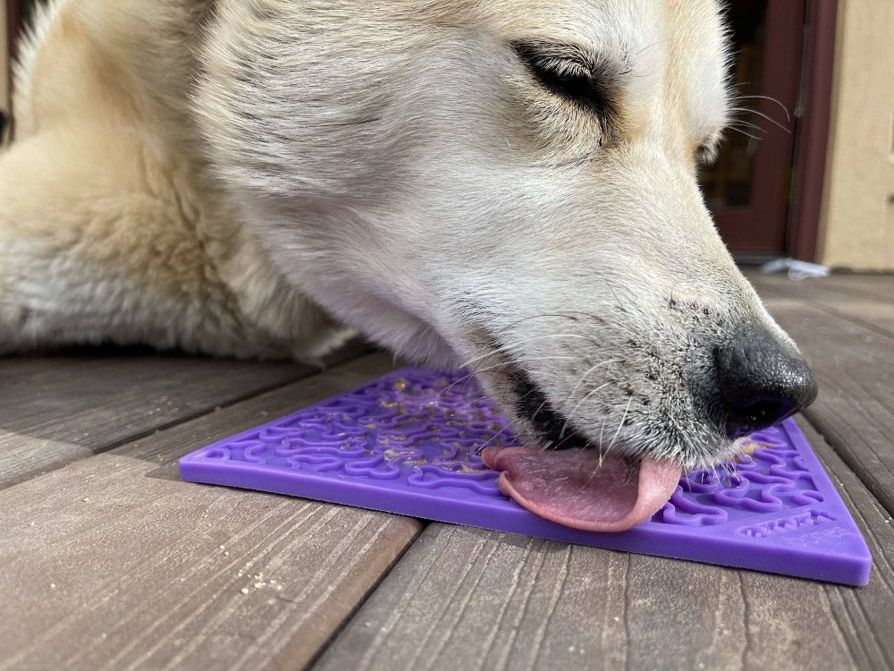 Bones eMat - Enrichment Lick Mat for Dogs and Cats | eMat Enrichment Toy for Anxiety Relief | SodaPup EMAT SodaPup/True Dogs, LLC