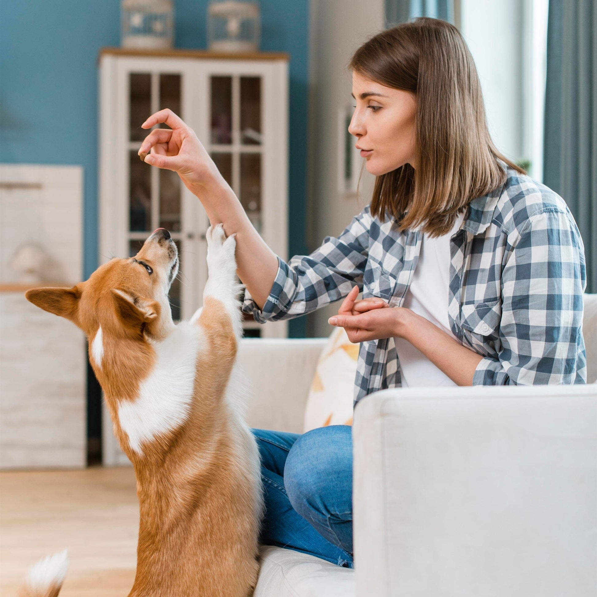 No Poo Poop Eating Deterrent With Probiotics For Dogs 9oz Jar (120 count) Dog Soft Chews Dogline
