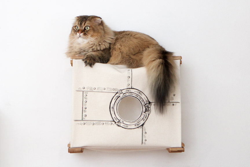 Enclosed Cat Bed - Cat Wall Cubby Catastrophic Creations