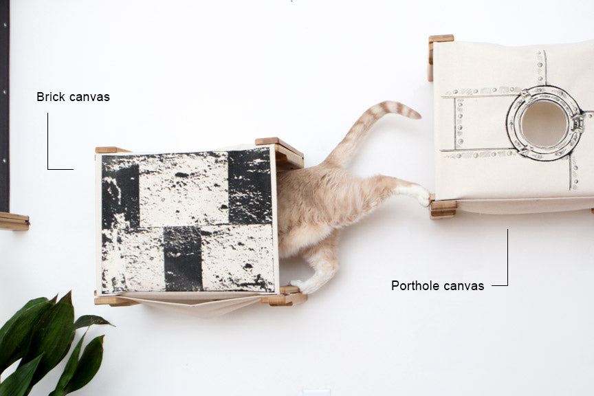 Enclosed Cat Bed - Cat Wall Cubby Catastrophic Creations