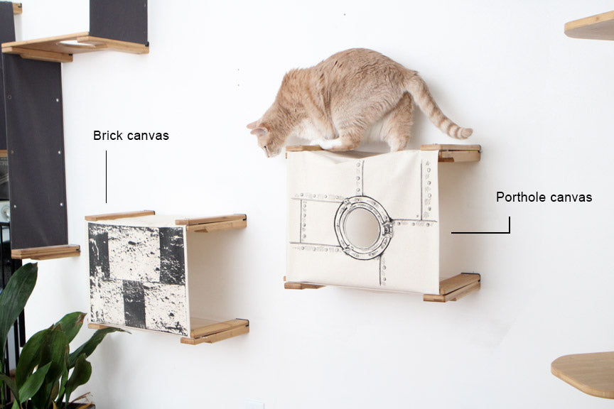Enclosed Cat Bed - Cat Wall Cubby Catastrophic Creations